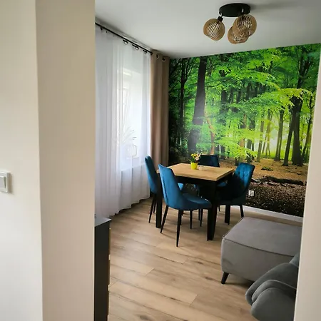 Apartamento Apartament Przy Rynku W Radkowie *